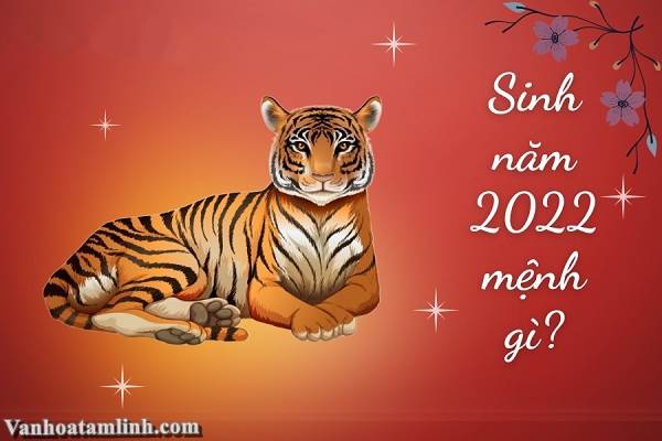 Người sinh năm 2022 tuổi gì, mệnh gì?  